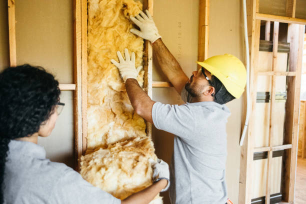 Best Soundproof Insulation  in Conway, SC