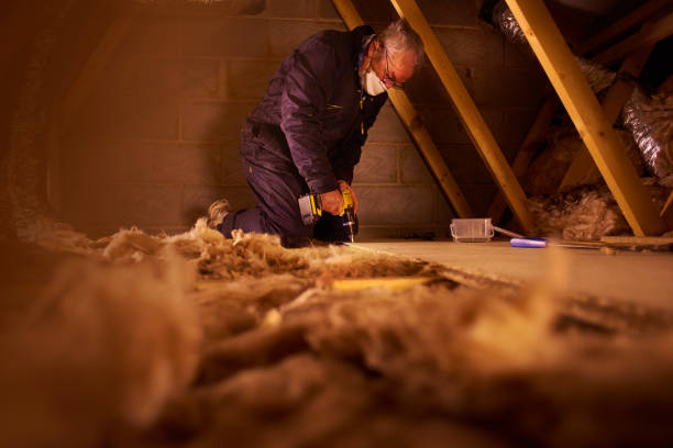 Best Attic Insulation Installation  in Conway, SC